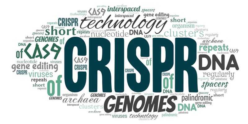 科學家用CRISPR技術發展出COVID-19檢測。